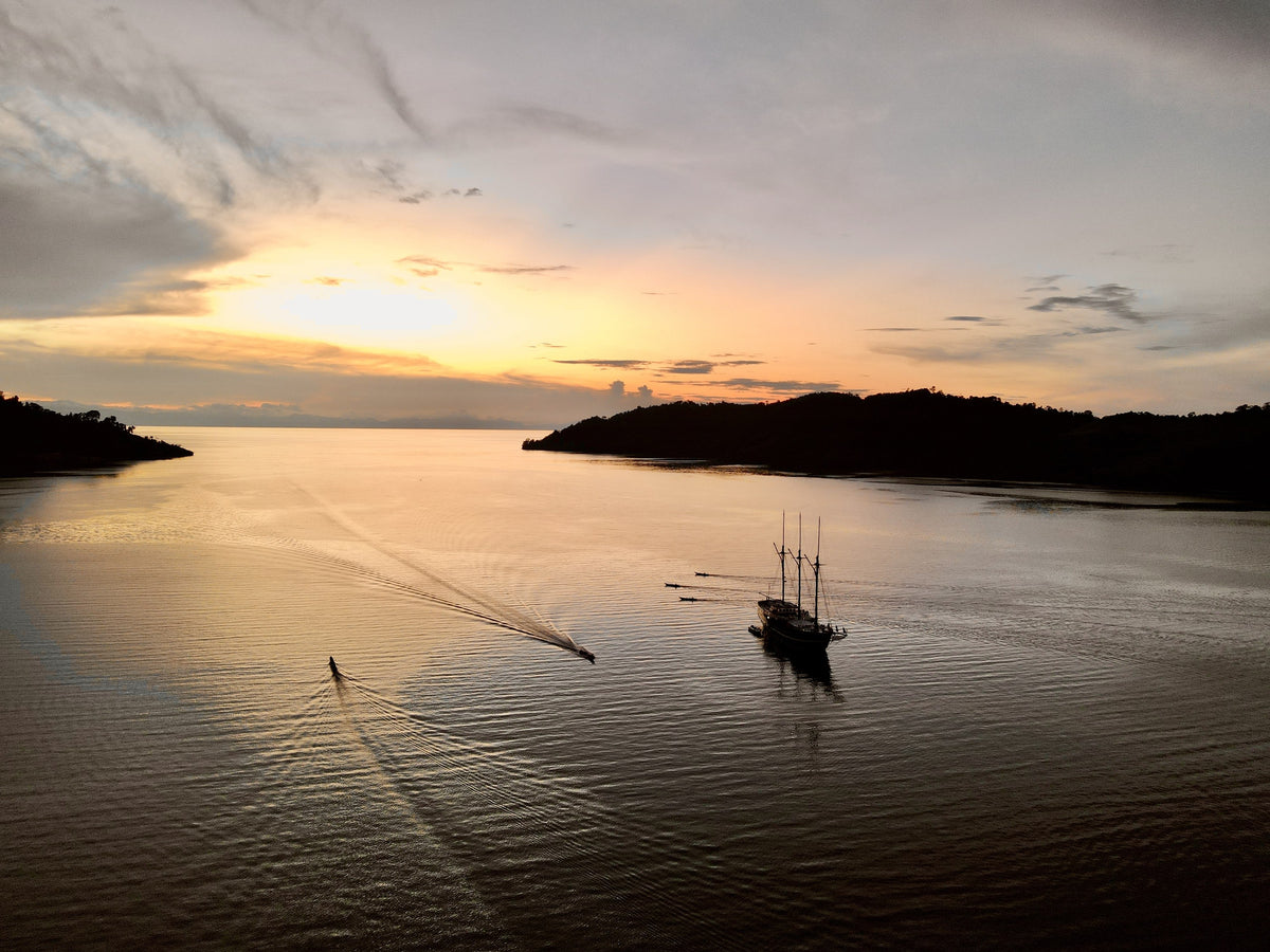 Dewi Nusantara — All of Raja Ampat - Biodiversity Hotspot — Sorong to Sorong — 10 Nights