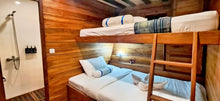 Standard Cabin – Astrapia