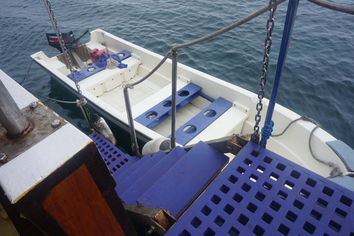 EcoXplorer — Halmahera Expedition: Ternate – Tulehu — 8 Nights