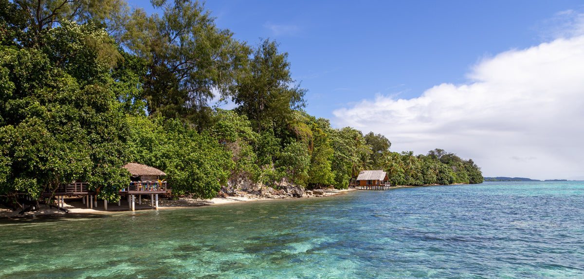 Forested coastline and clear lagoon water near Gizo, Solomon Islands