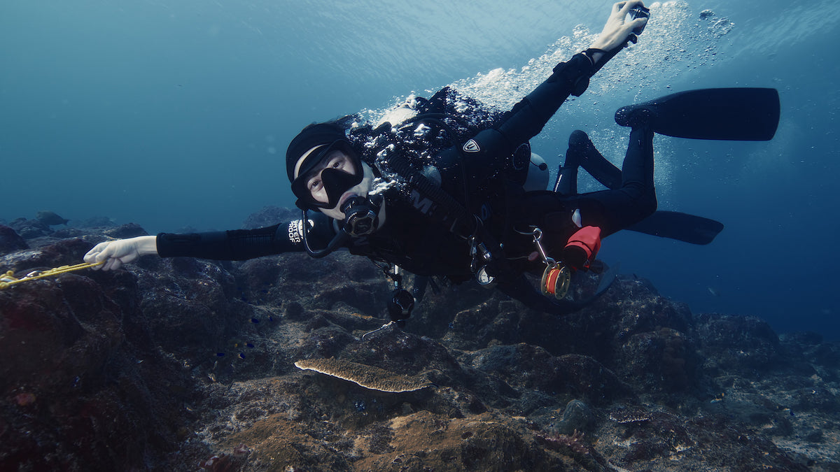 Iliké — North Sulawesi & Halmahera — Bitung to Babang — 8 Nights