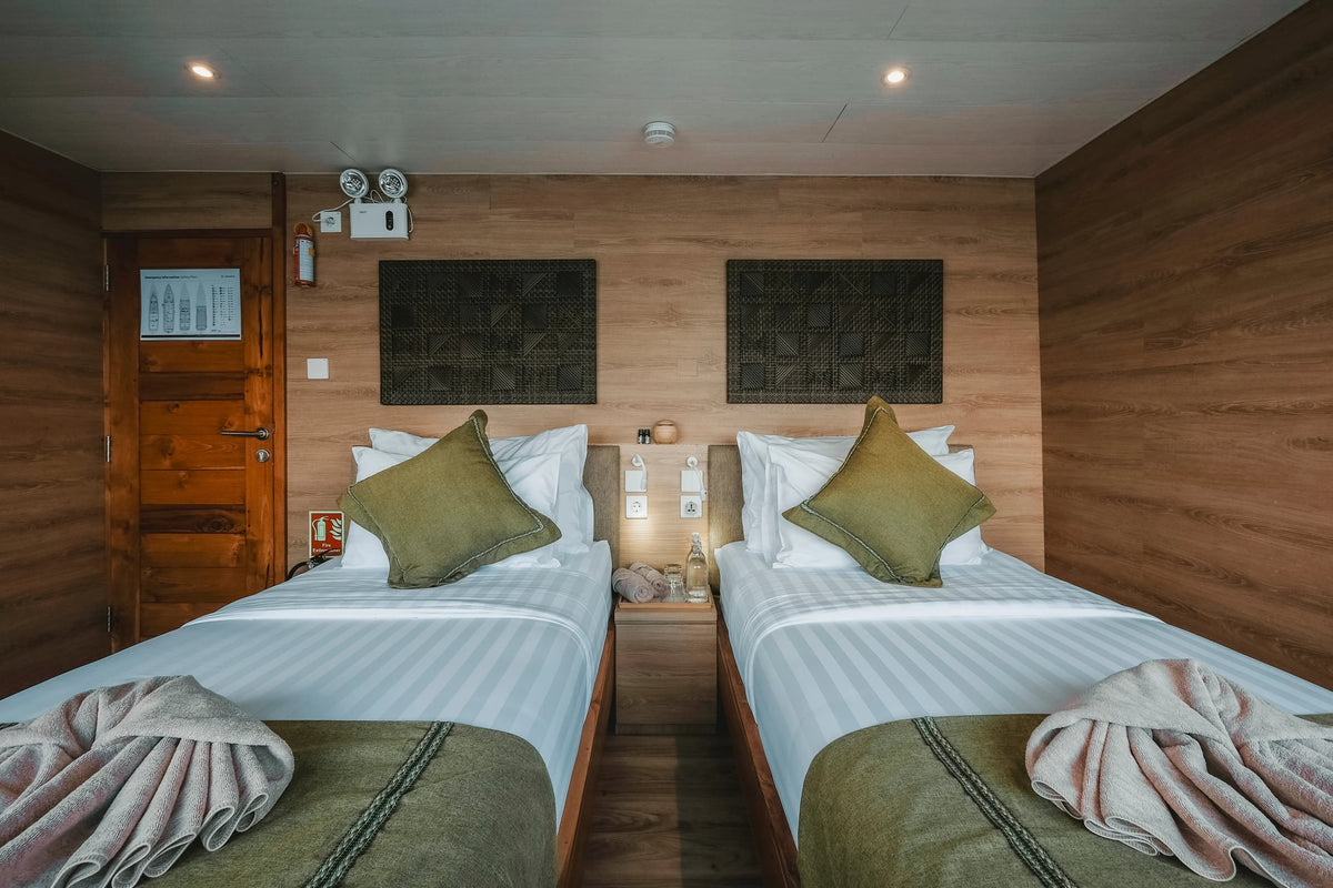 Indo Master — Premium Twin Suite