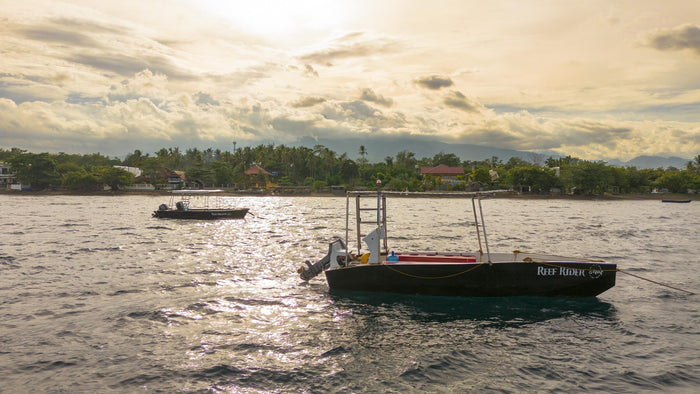 Liquid Dive Dumaguete