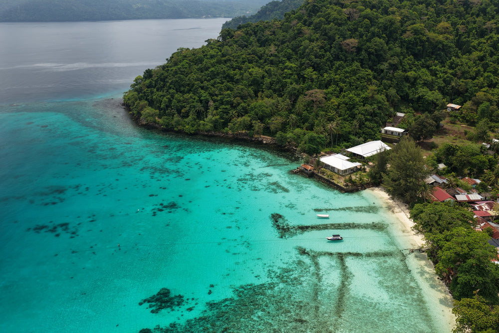 Dolphin-watching & Snorkeling