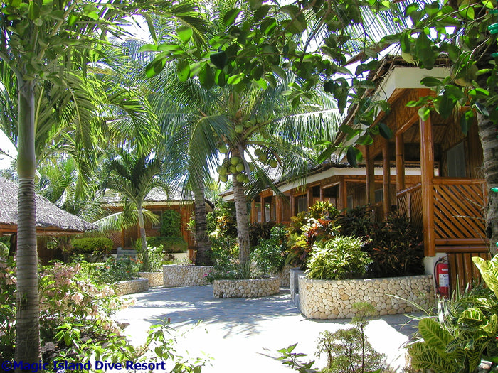 Magic Island Dive Resort