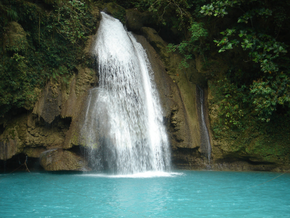 Kawasan Waterfalls Day Trip