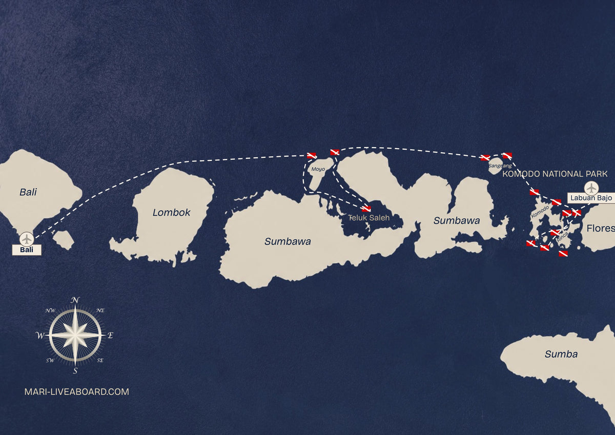 MARI — Bali - Komodo & Whale Sharks — Bali to Labuan Bajo — 11 Nights