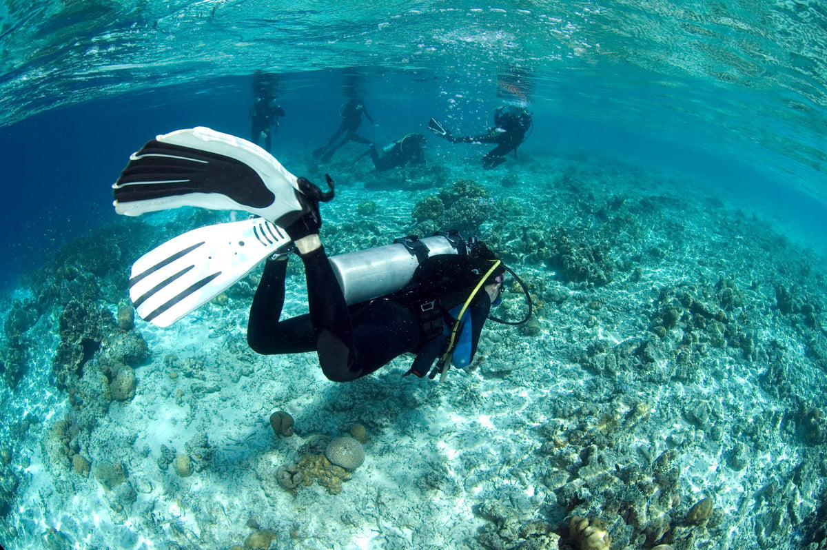 Scuba divers above a shallow reef at Mataking Island, Malaysia