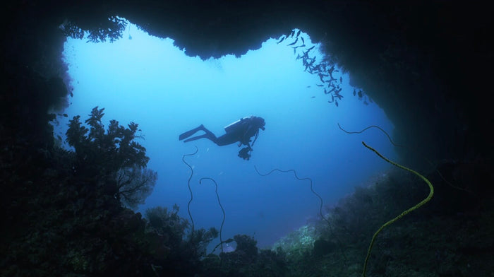 The Maulana Hotel / Banda Ocean Divers