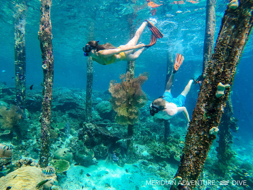 Raja Ampat Snorkeling