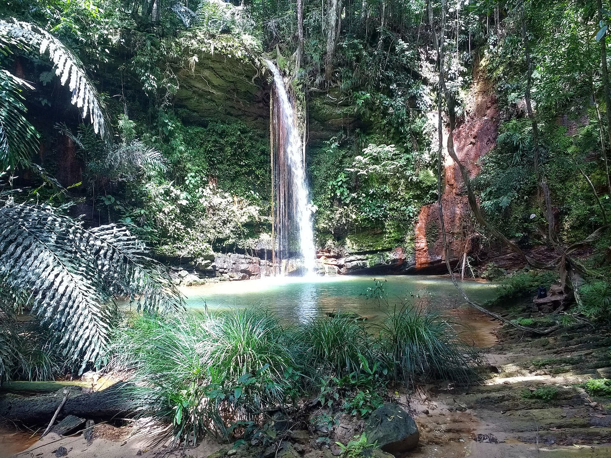 Dinding waterfall and rainforest in Lambir Hills National Park