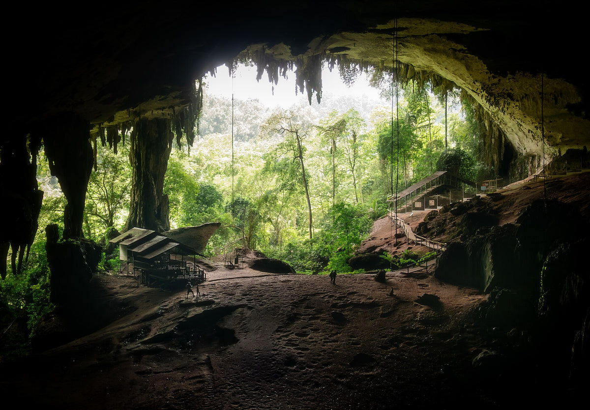 Rainforest seen through the entrance of the Great Cave at Niah, Sarawak