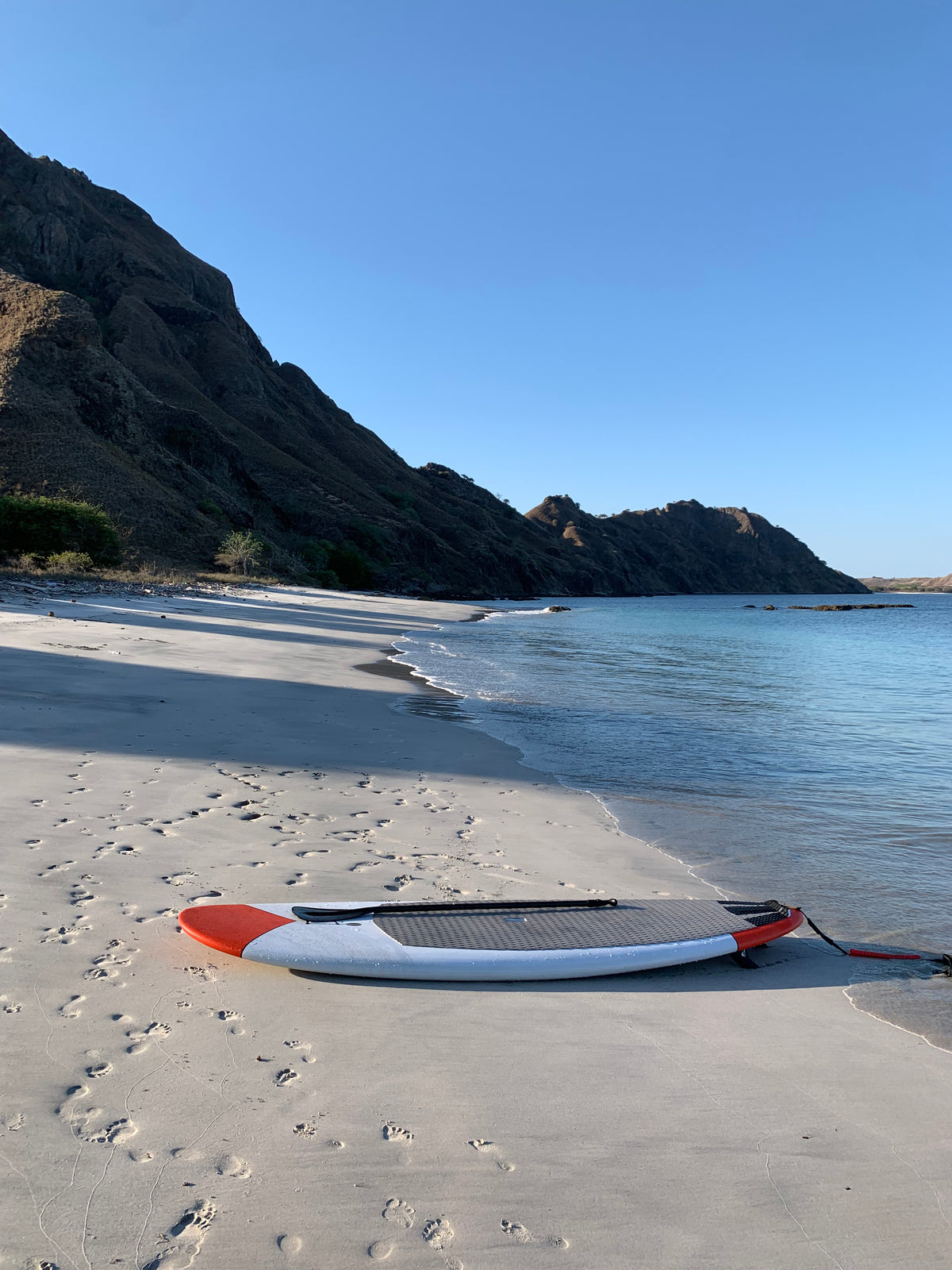 Komodo - 4 Nights