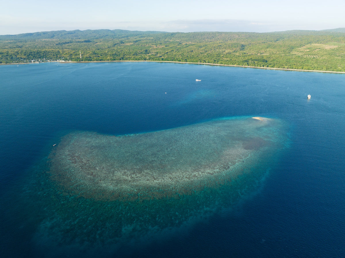 Aerial view of Angel Reef off the coast of Moyo Island, Sumbawa, Indonesia