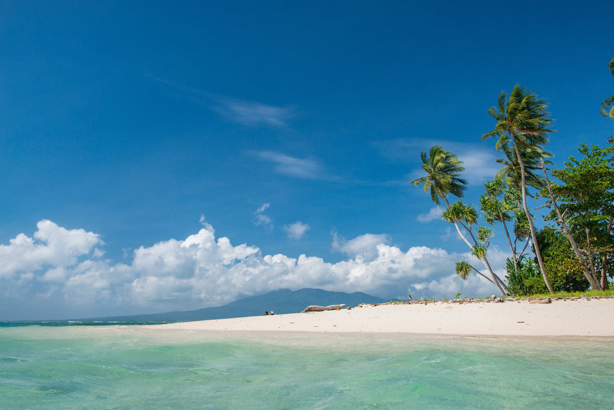 White sand and coconut palms on a beach near Munda, Solomon Islands