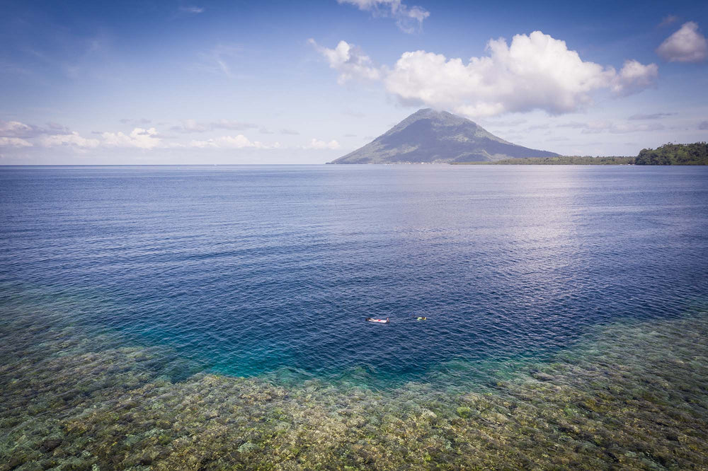Guided Snorkeling