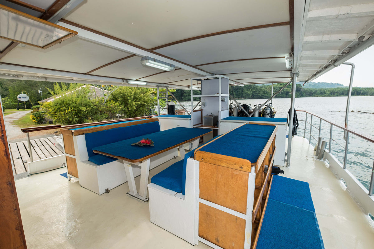 MV FeBrina