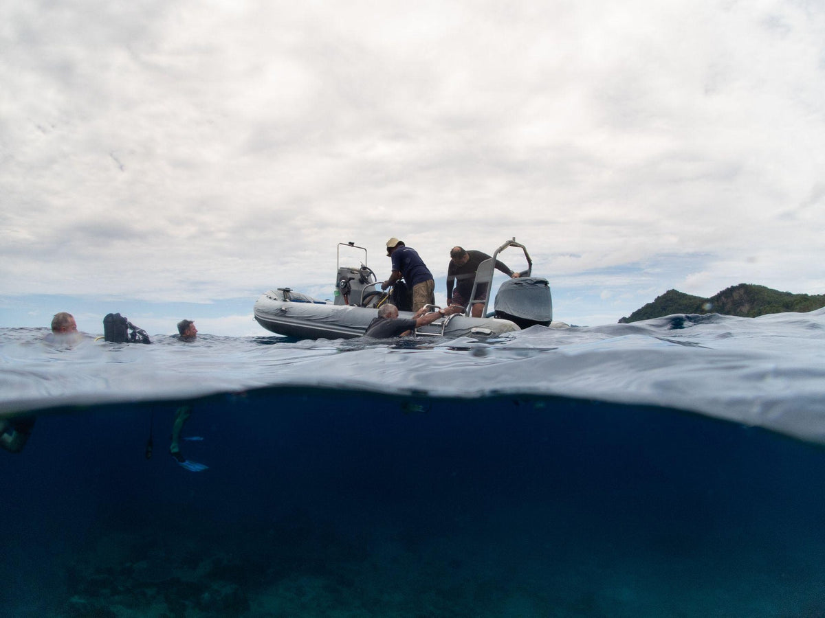 Nomad Bajau — Exploration Cruise: Forgotten Islands & Hammerhead Encounters