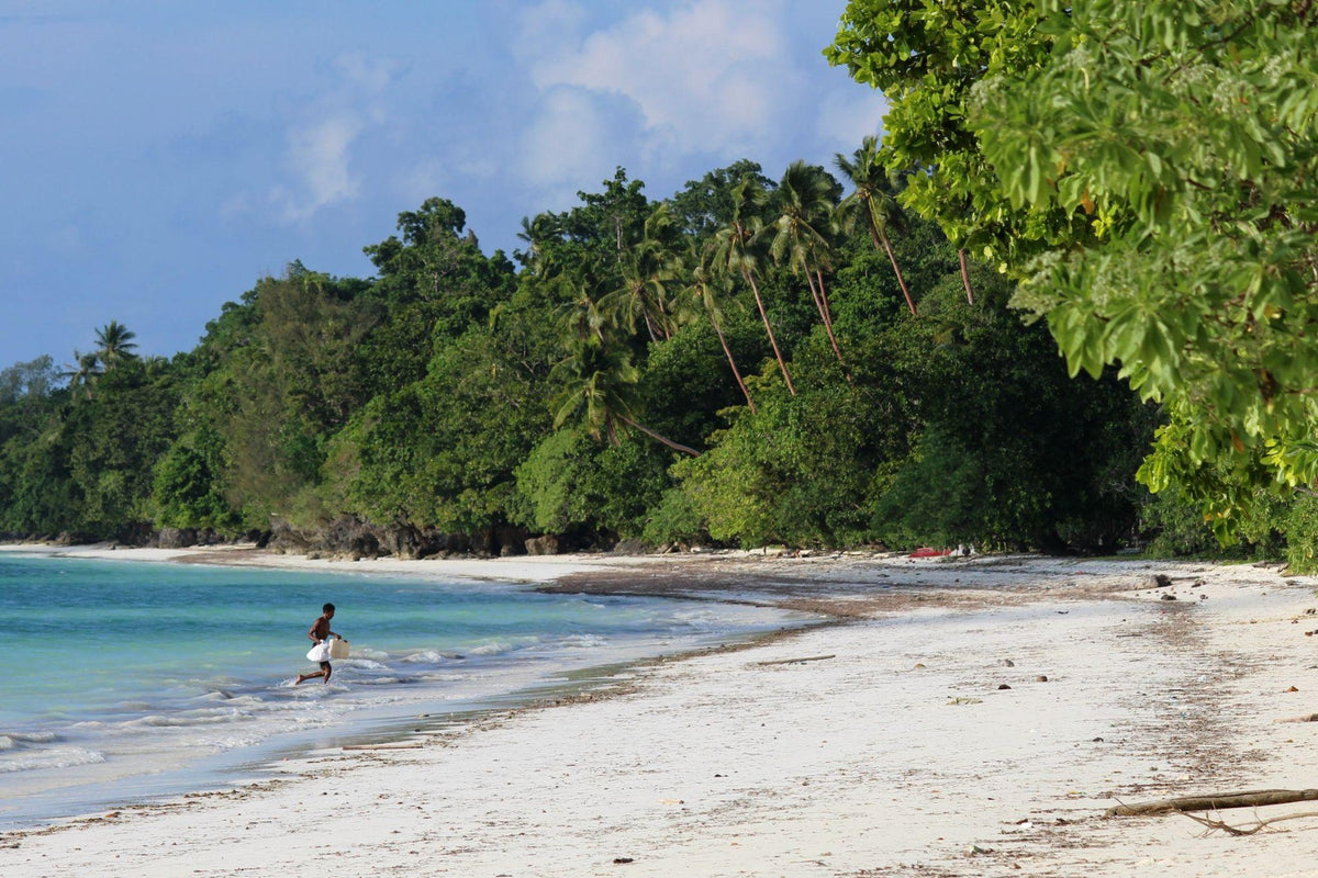 Nomad Bajau — Exploration Cruise: Forgotten Islands & Hammerhead Encounters