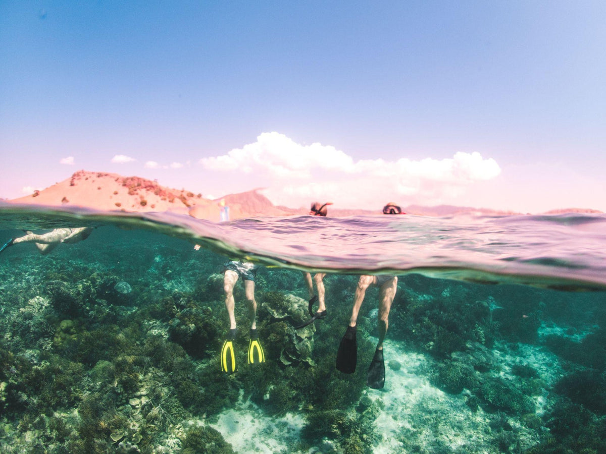 Nomad Bajau — Exploration Cruise: Komodo to Alor