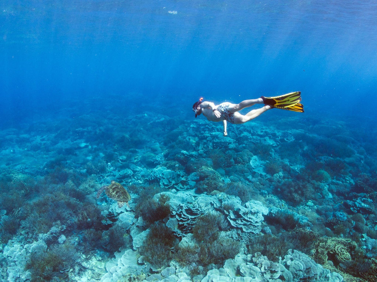 Nomad Bajau — Exploration Cruise: Komodo to Alor