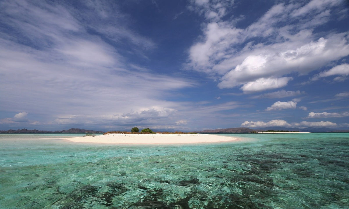Nomad Bugis — Komodo Leisure Snorkeling