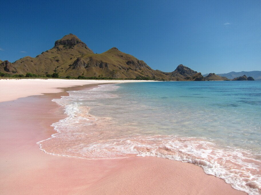 Nomad Bugis — Komodo Leisure Snorkeling