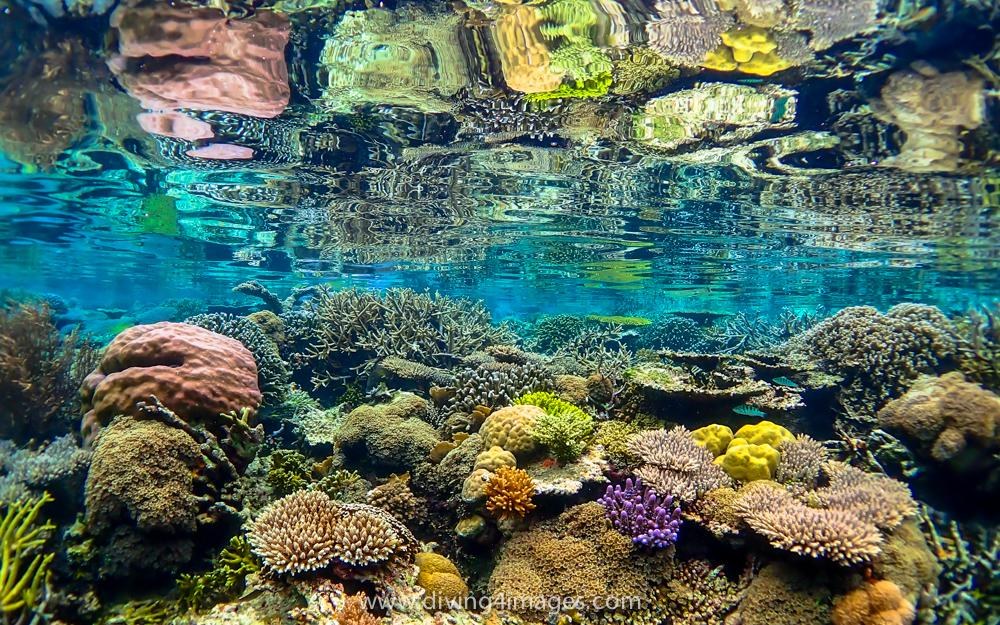 Nomad Bugis — Raja Ampat