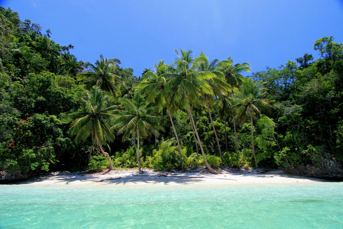 Nomad Bajau — Exploration: Raja Ampat to Halmahera
