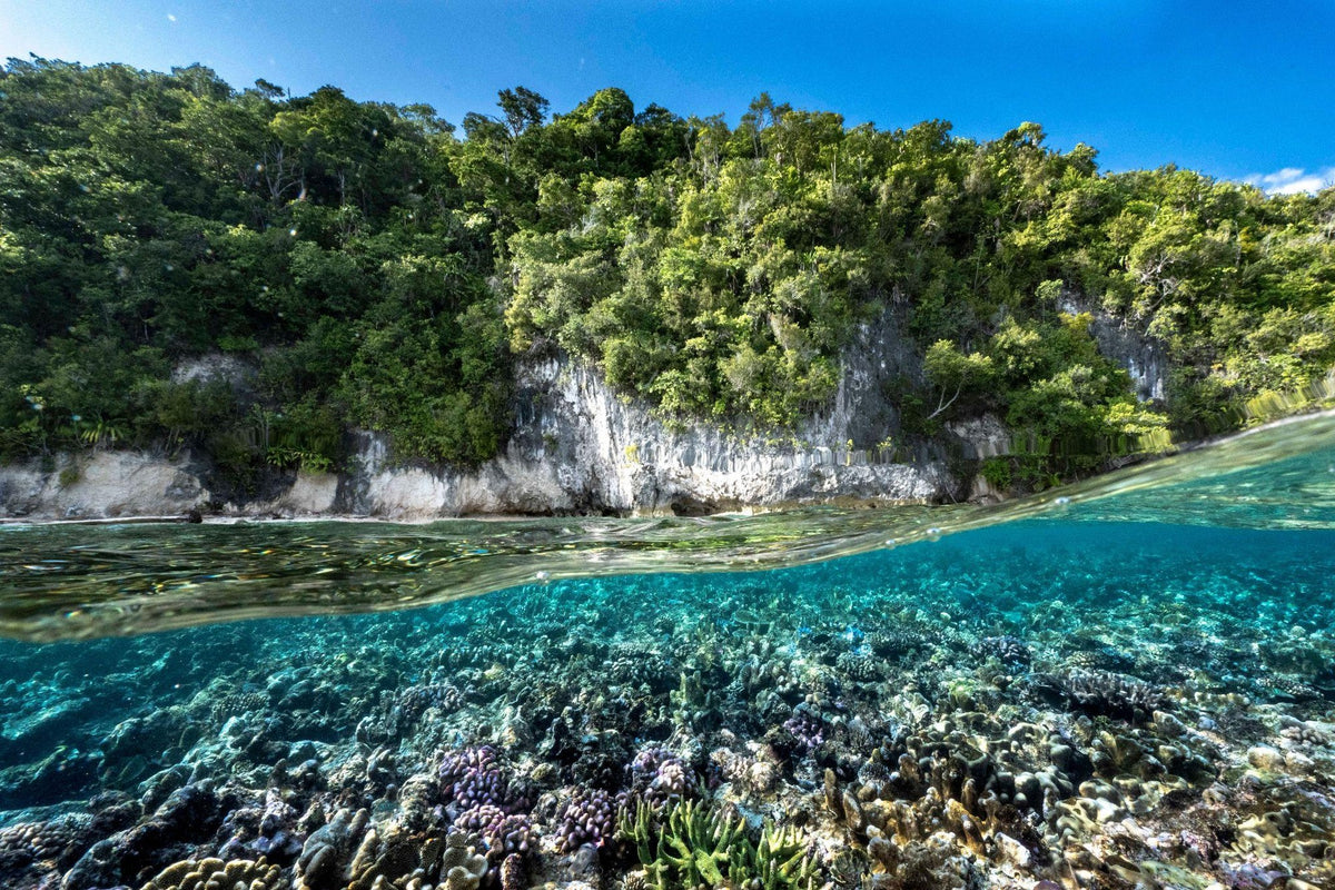 Nomad Bajau — Exploration: Raja Ampat to Halmahera