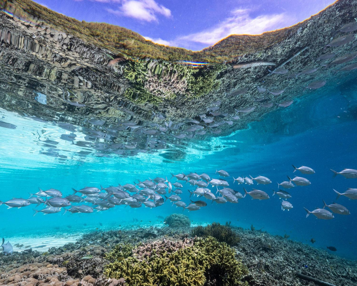 Nomad Bajau — Exploration Cruise: Spice Island to Four Kings