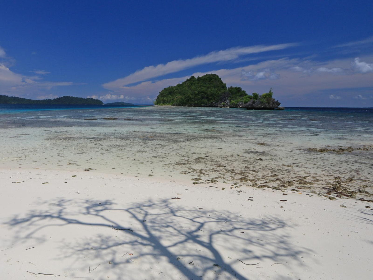 Nomad Bajau — Exploration Cruise: Spice Island to Four Kings