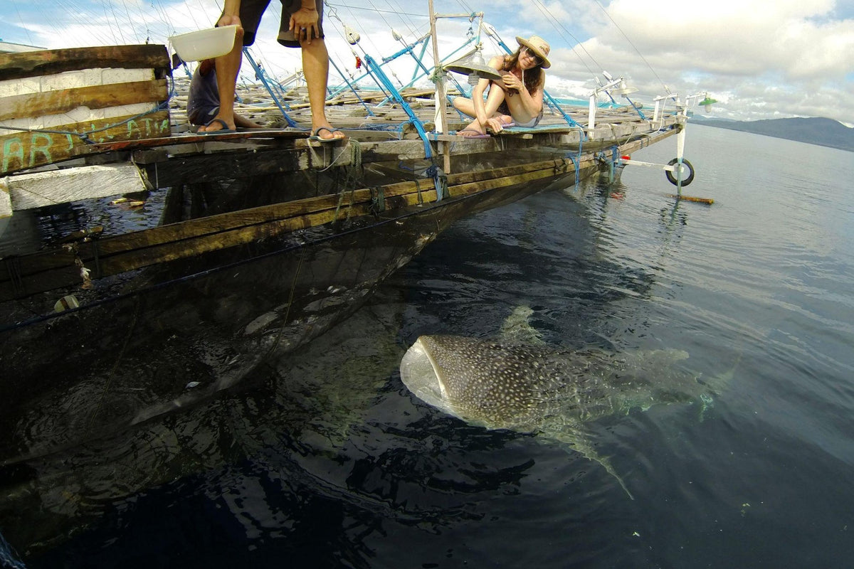 Nomad Bajau — Exploration: Adventure Cruise of Sulawesi