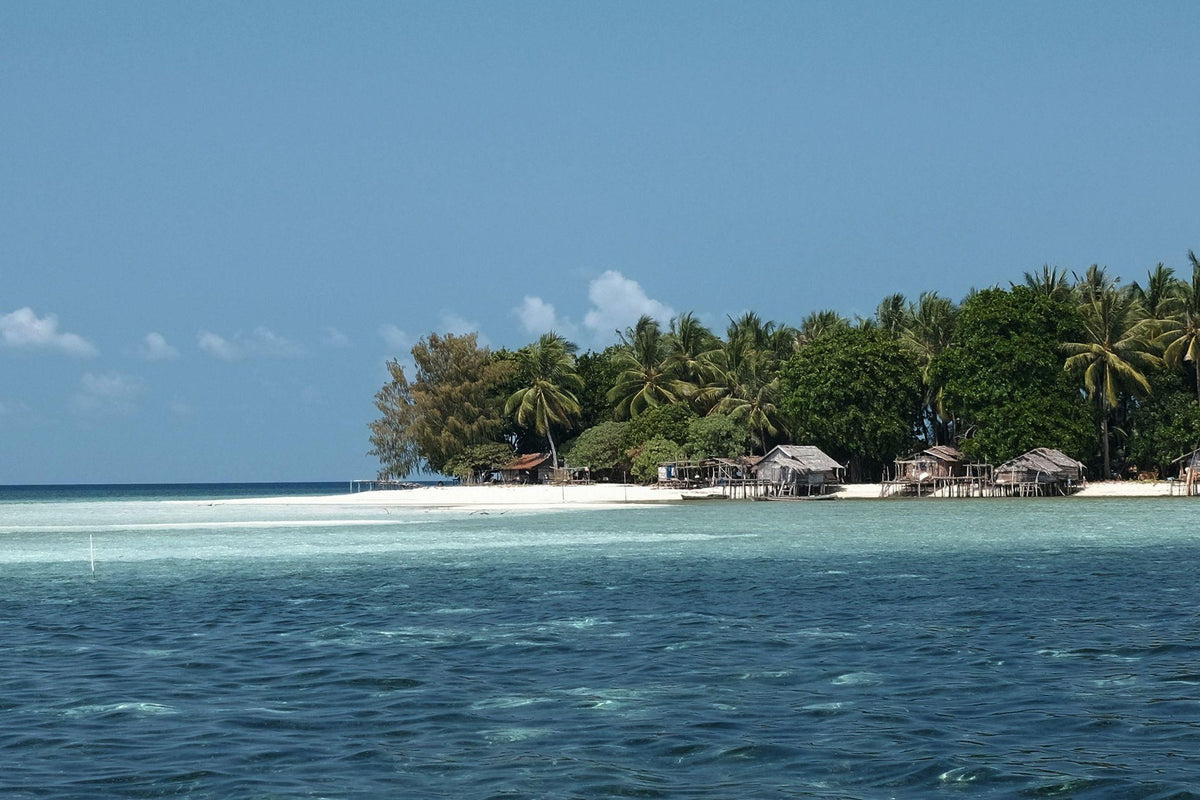 Nomad Bajau — Exploration: Adventure Cruise of Sulawesi