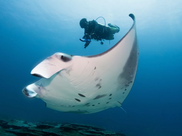 Nomads Diving / Nomads Yurt