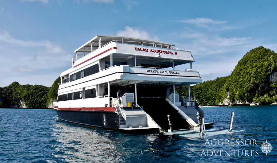 Palau Aggressor II