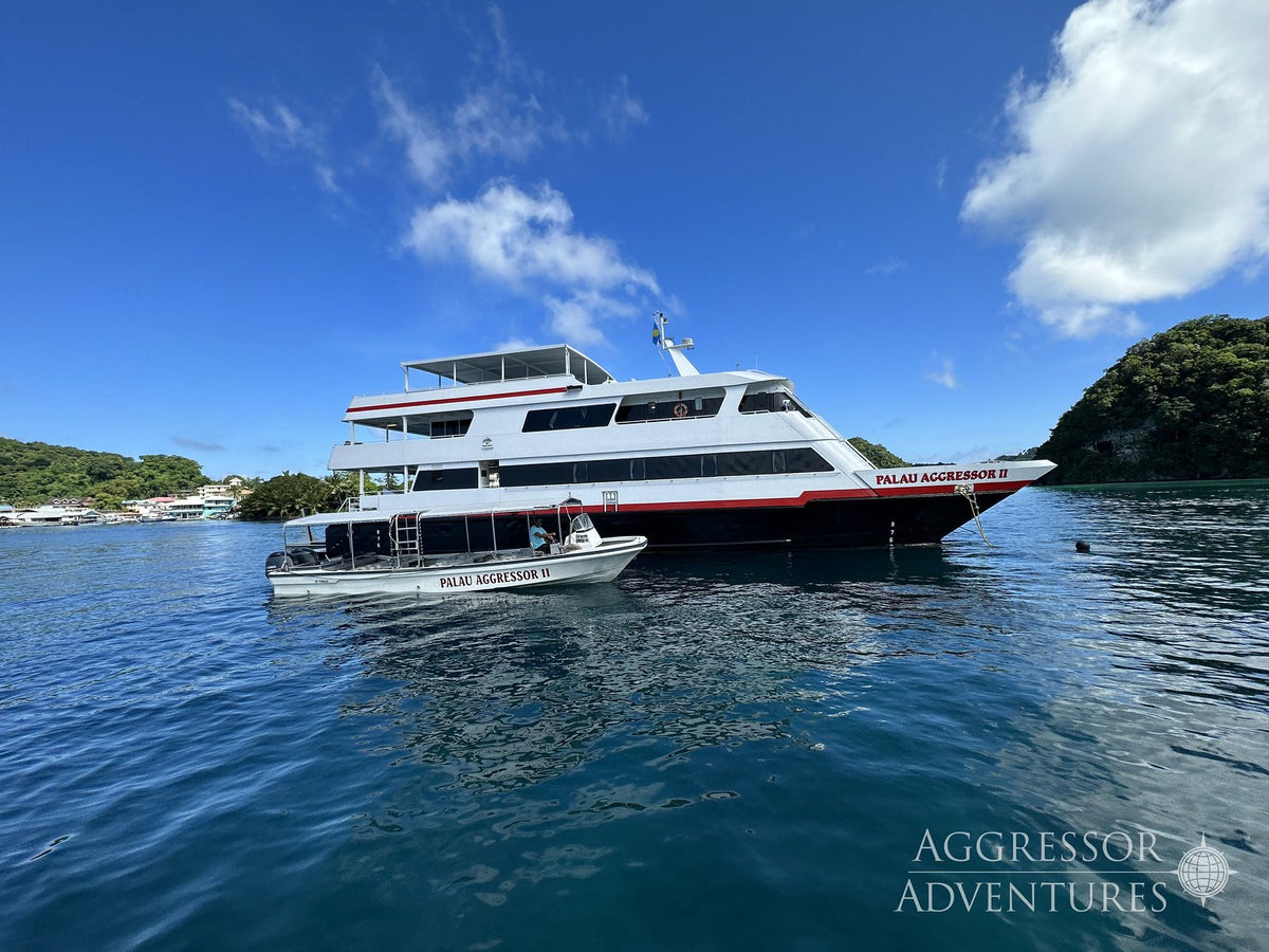 Palau Aggressor II