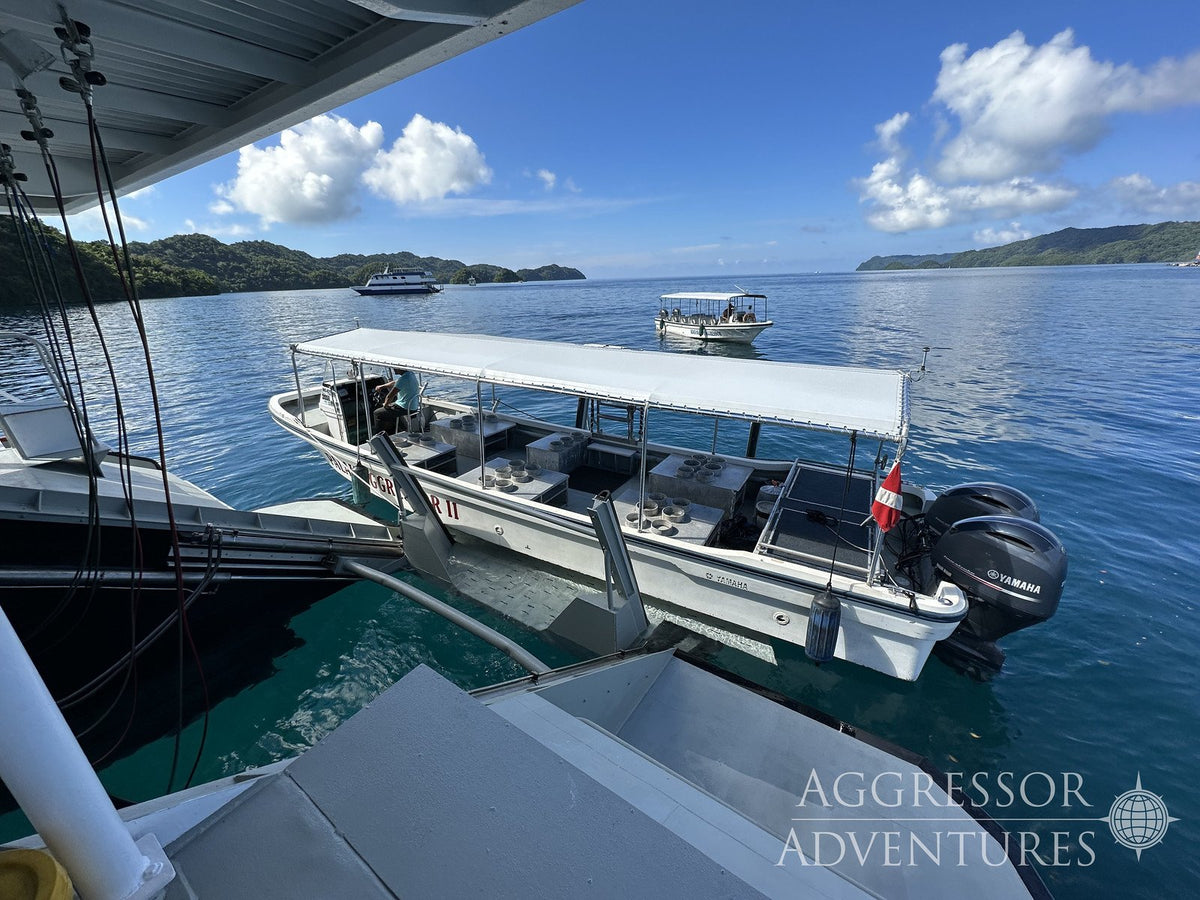 Palau Aggressor II