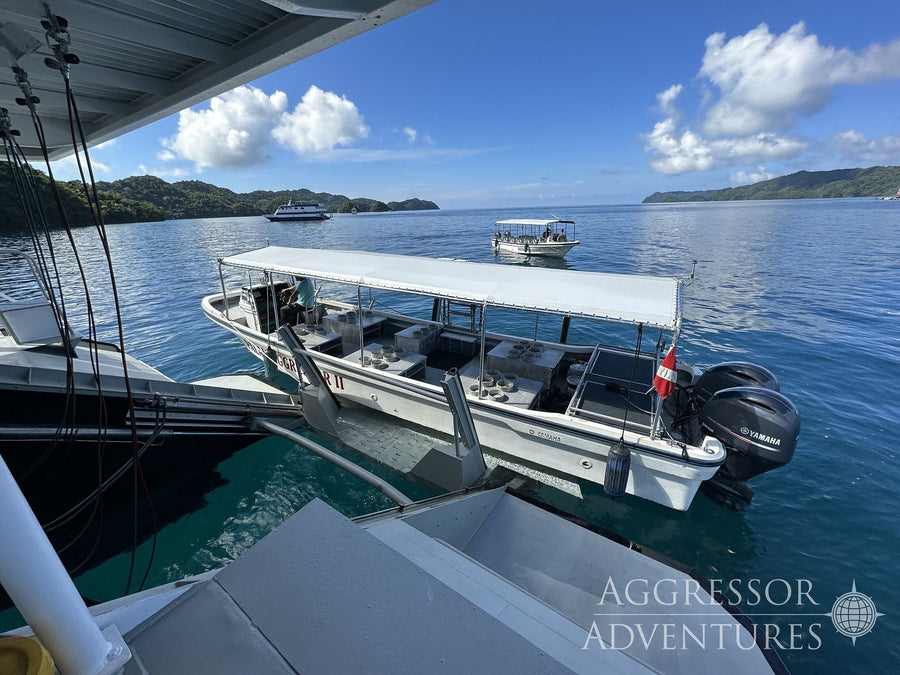 Palau Aggressor II