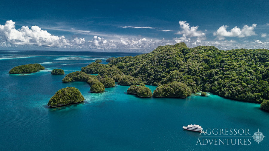 Palau Aggressor II