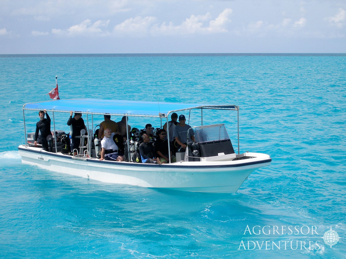 Palau Aggressor II