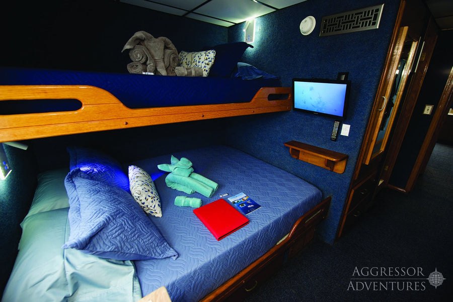 Palau Aggressor II