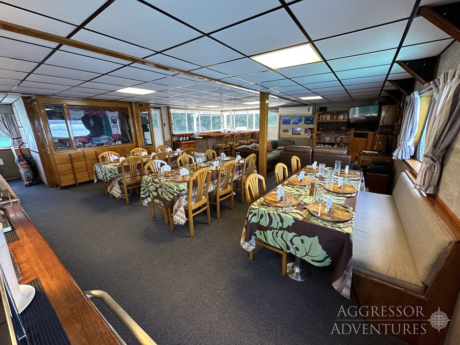 Palau Aggressor II