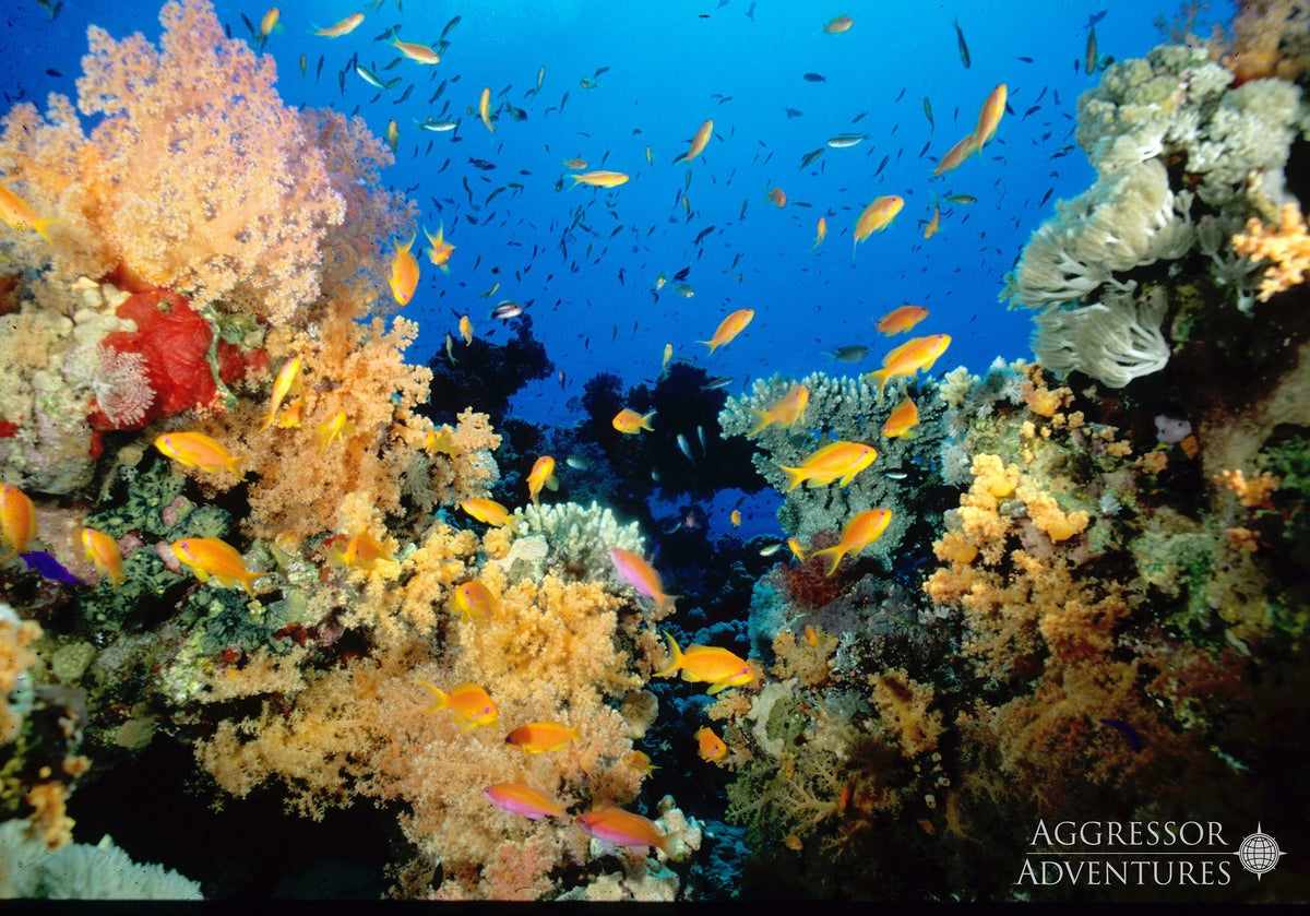 Palau