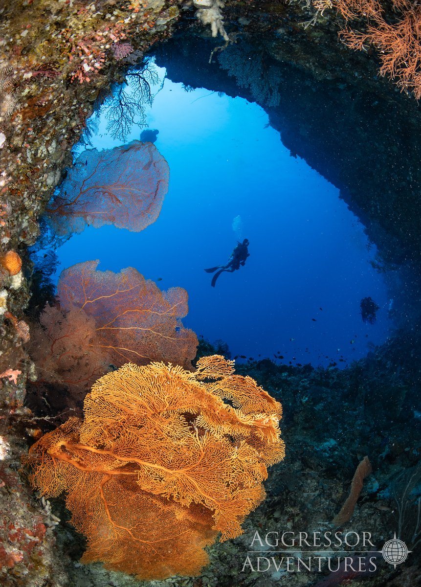 Palau