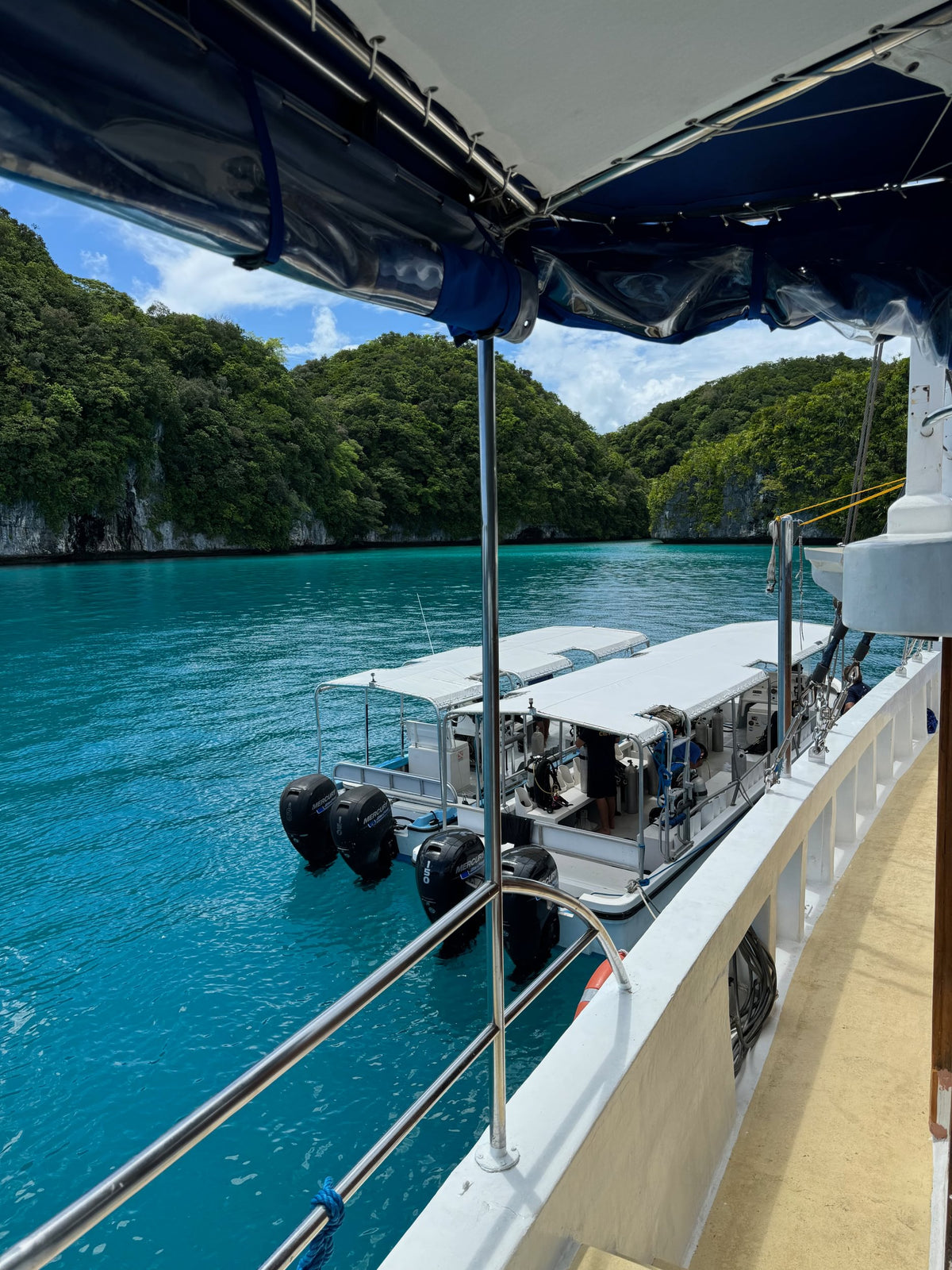 Palau Siren
