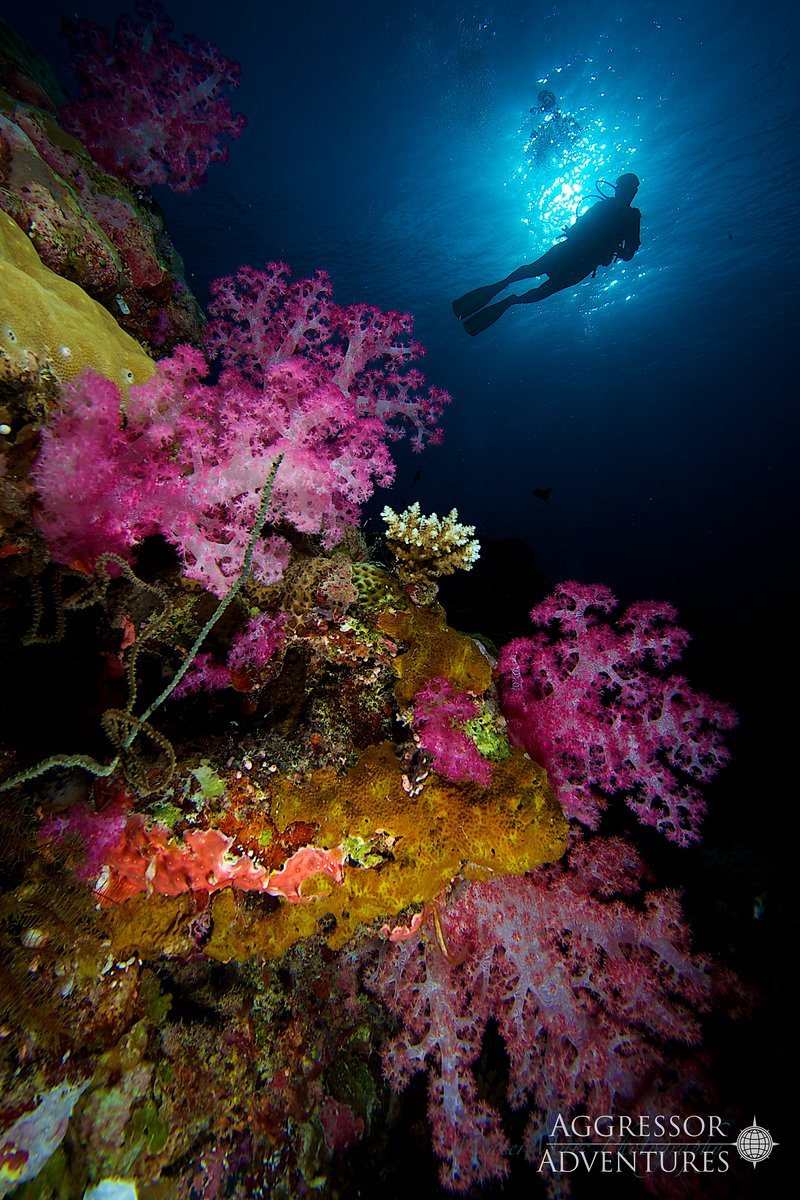 Palau