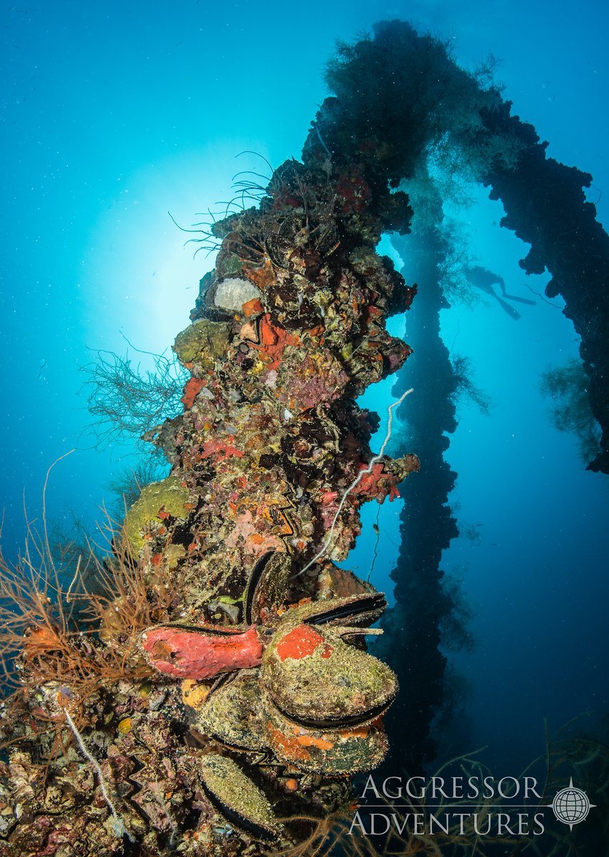 Palau