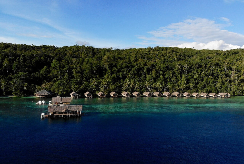 Bird of Paradise & Raja Ampat Excursions