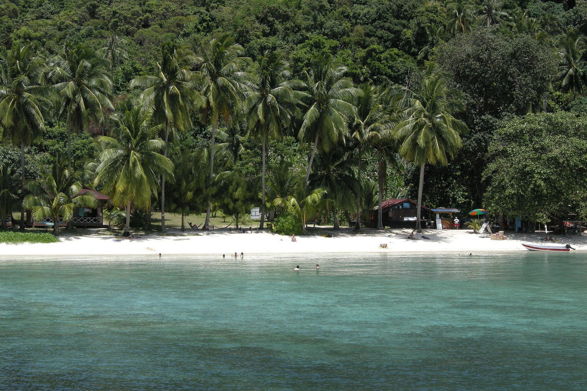 Palm-lined white sand beach on Perhentian Kecil, Malaysia